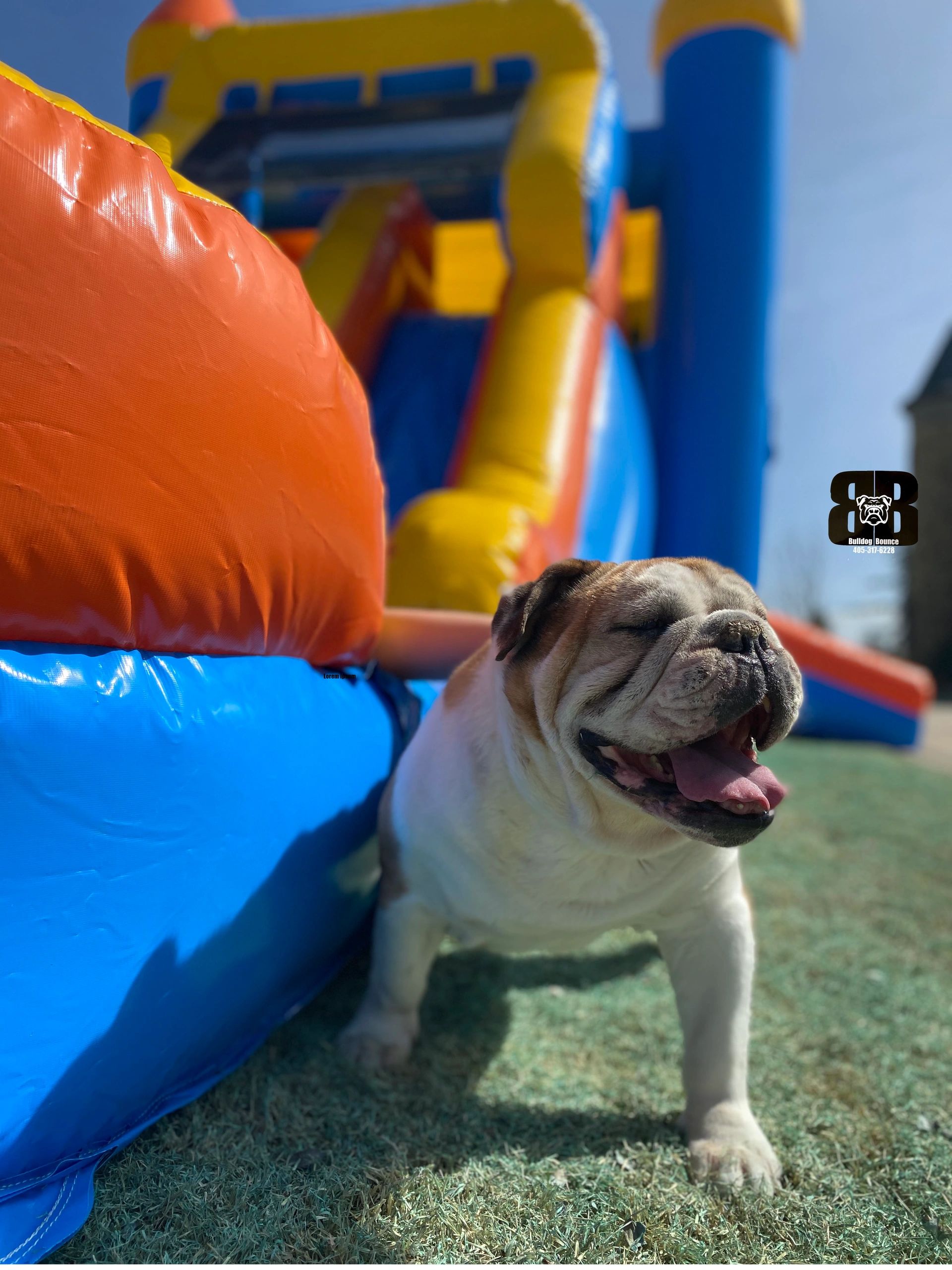 Bounce House Rental Bulldog Bounce Inc